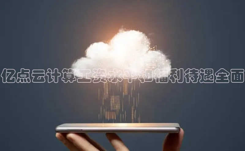 意昂4代理普信公司亿点云计算工资水平和福利待遇全面