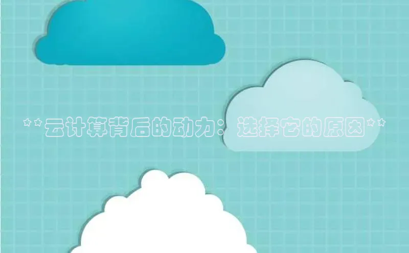 EON4官网美团**云计算背后的动力：选择它的原因**