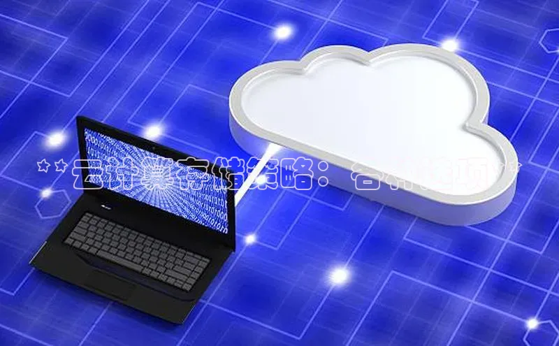 EON4招商百度网盘**云计算存储策略：各种选项**