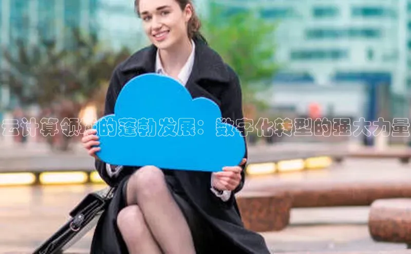 EON4官网百度识图云计算领域的蓬勃发展：数字化转型的强大力量