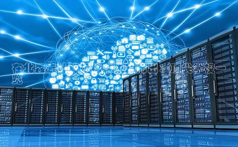 EON4官网百度集团在北森云计算校招中脱颖而出：顶尖学校一
览