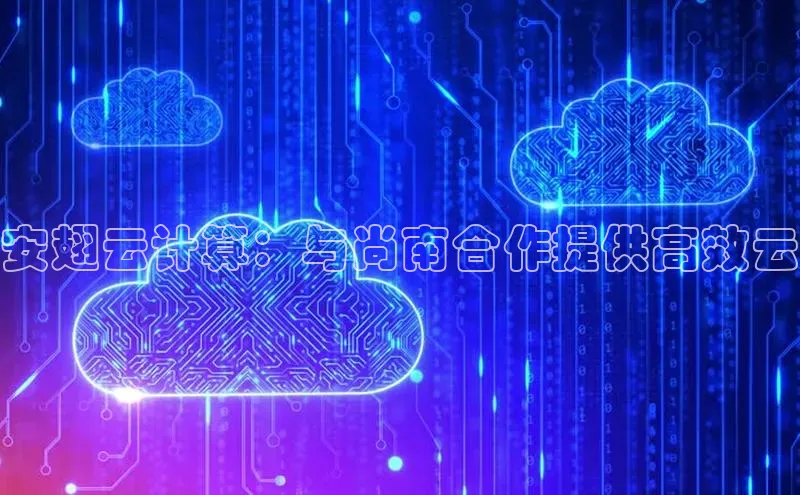 意昂458同城安翅云计算：与尚南合作提供高效云