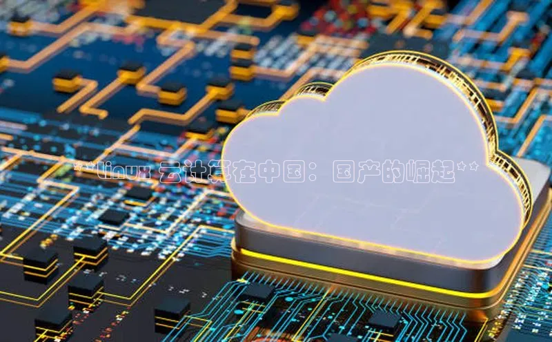 EON体育4登录百度教育**Linux 云计算在中国：国产的崛起**