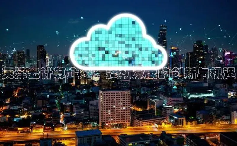 EON体育4登录哇咔哇咔文化天津云计算企业：蓬勃发展的创新与机遇
