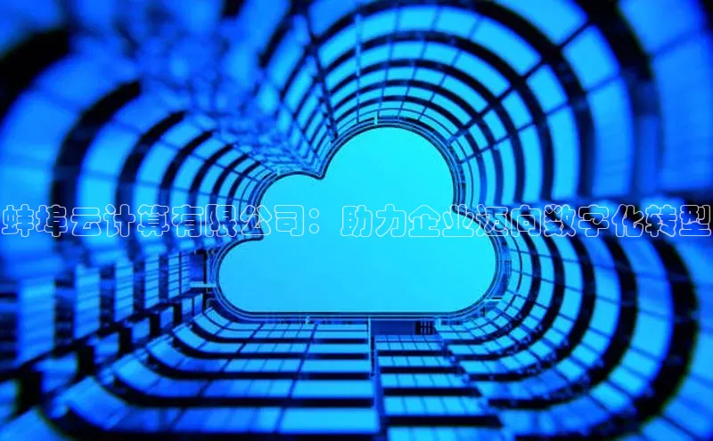 EON4招商百度网盘蚌埠云计算有限公司：助力企业迈向数字化转型