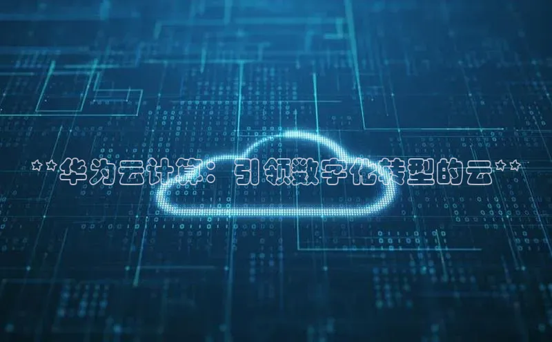 EON4官网百度集团**华为云计算：引领数字化转型的云**