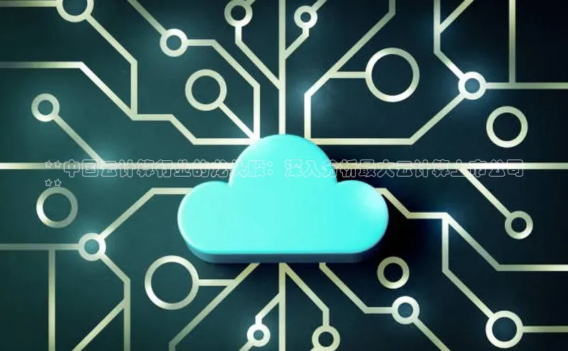 EON4官网度小满理财**中国云计算行业的龙头股：深入分析最大云计算上市公司
**