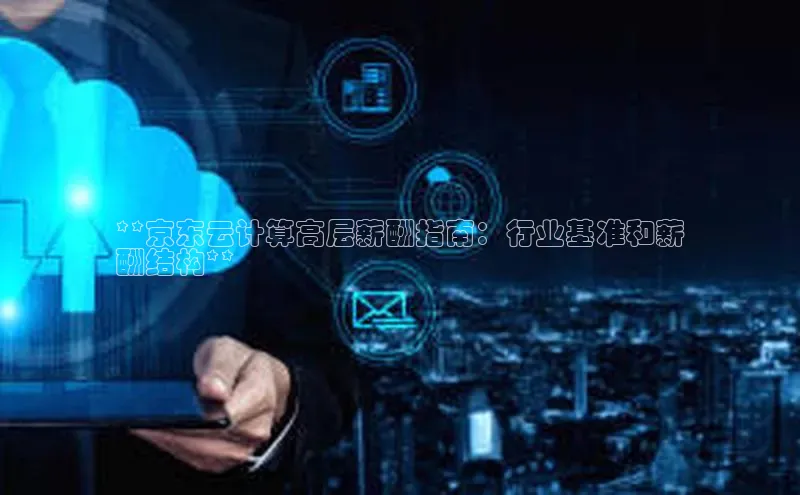 意昂体育4代理赛富乐斯**京东云计算高层薪酬指南：行业基准和薪
酬结构**