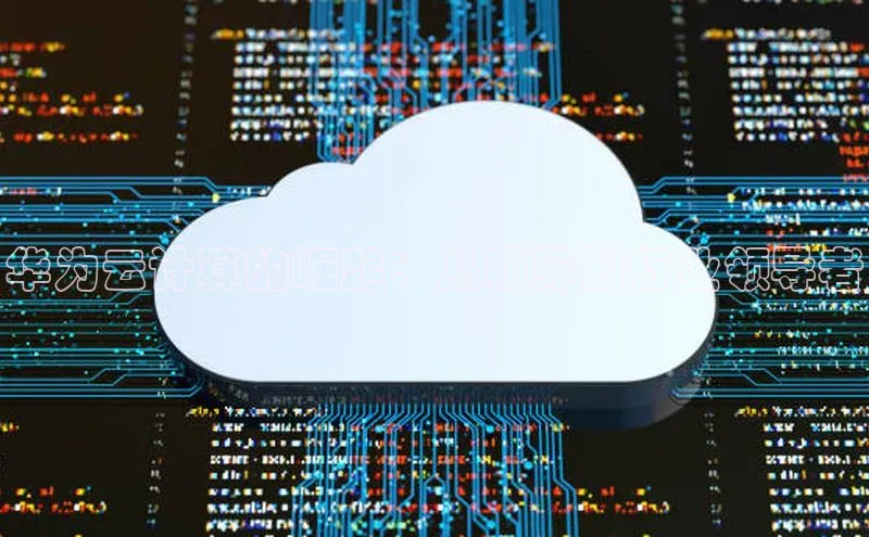 EON体育4百度 H5华为云计算的崛起：从萌芽到行业领导者